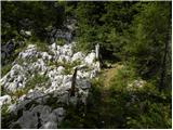 End of road on Vogar - Planina Ovčarija